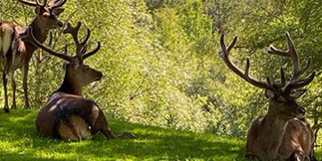 Applied-Conservation-Skills